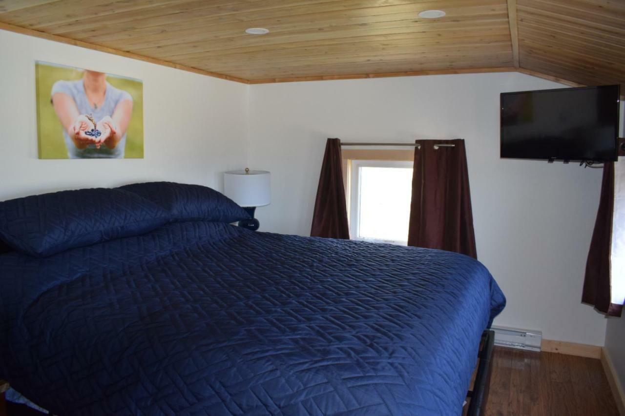 Bird Island B&B Elliston Exterior foto